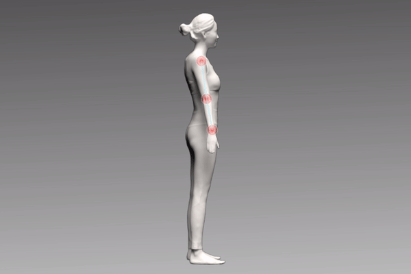 Real 3D body avatar