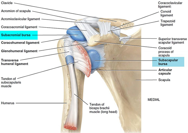 Bursitis